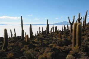 El Salar de Uyuni