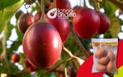 El poder antioxidante del tomate de árbol