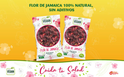 ¡Flor de Jamaica Vegan Life! Sabor Auténtico, Natural y Lleno de Bienestar